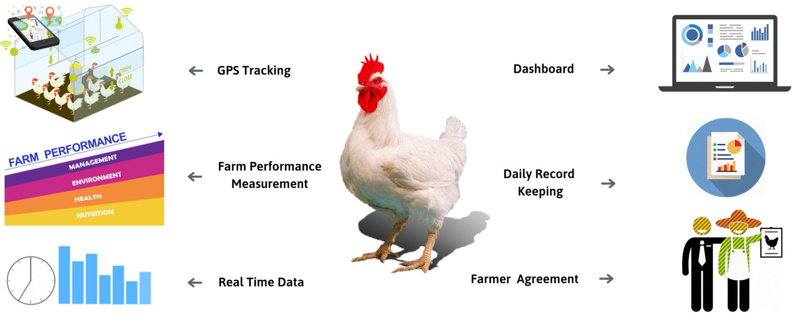 Poultry Medicine System